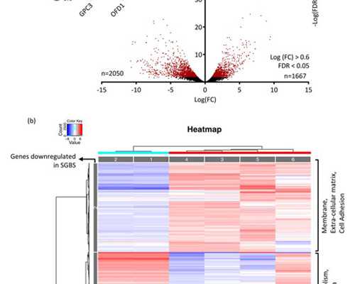 菏泽中医医院试管婴儿费用参考，2026单周期助孕价格表