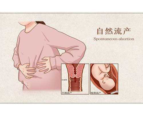 2026邵阳妇幼保健院试管婴儿价目表，总费用明细一文通