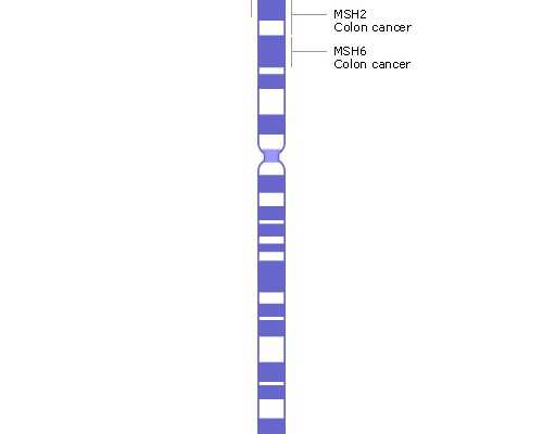 2026年正规医院卵子库借卵包男孩多少钱？附费用明细？