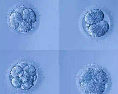 子宫内膜薄怎么调理备孕？找到根源就能成功怀孕