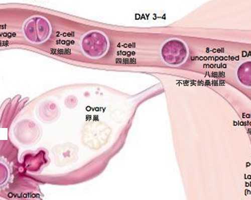 宁夏做试管包生男孩多少钱？宁夏试管生男孩费用高吗？