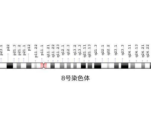 【2026实测】上海第一妇婴和复旦大学附属产科医院哪个好？生殖与产科实力对比指南
